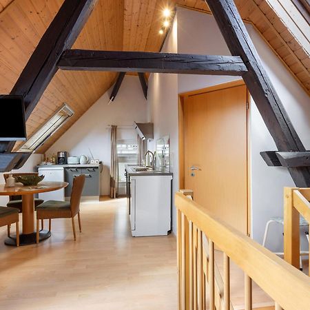 Ferienwohnung An Der Brigach Donaueschingen Zewnętrze zdjęcie