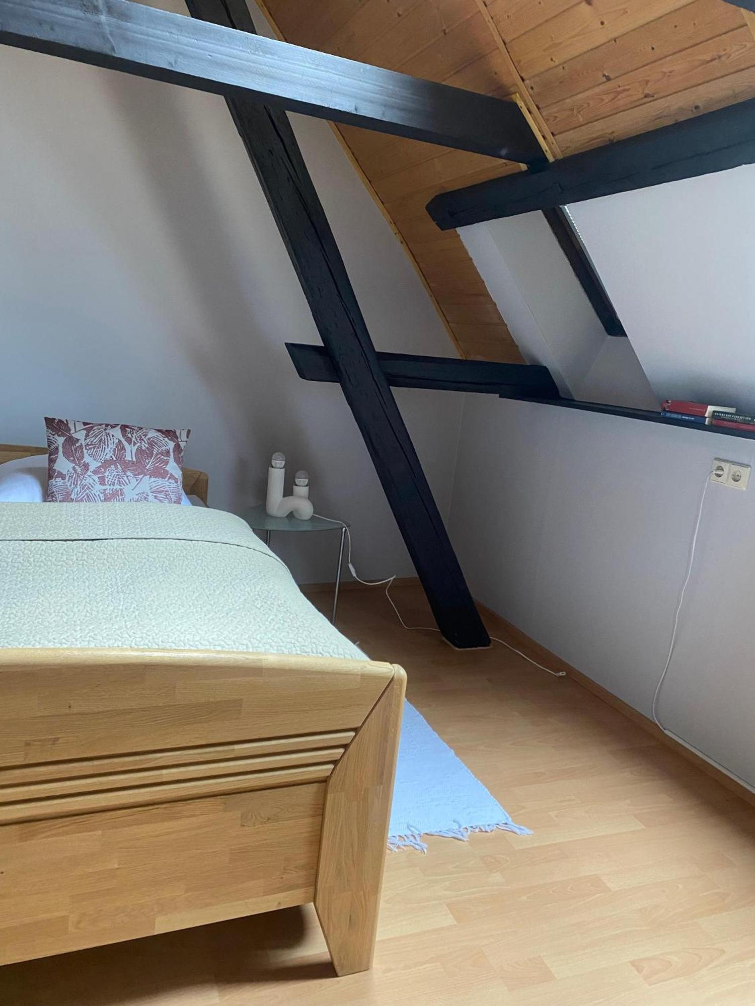 Ferienwohnung An Der Brigach Donaueschingen Zewnętrze zdjęcie
