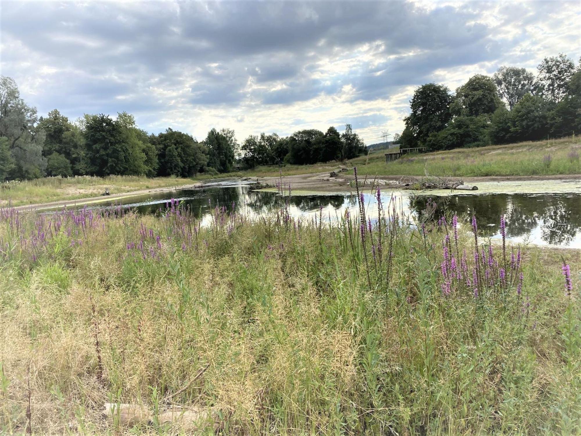 Ferienwohnung An Der Brigach Donaueschingen Zewnętrze zdjęcie