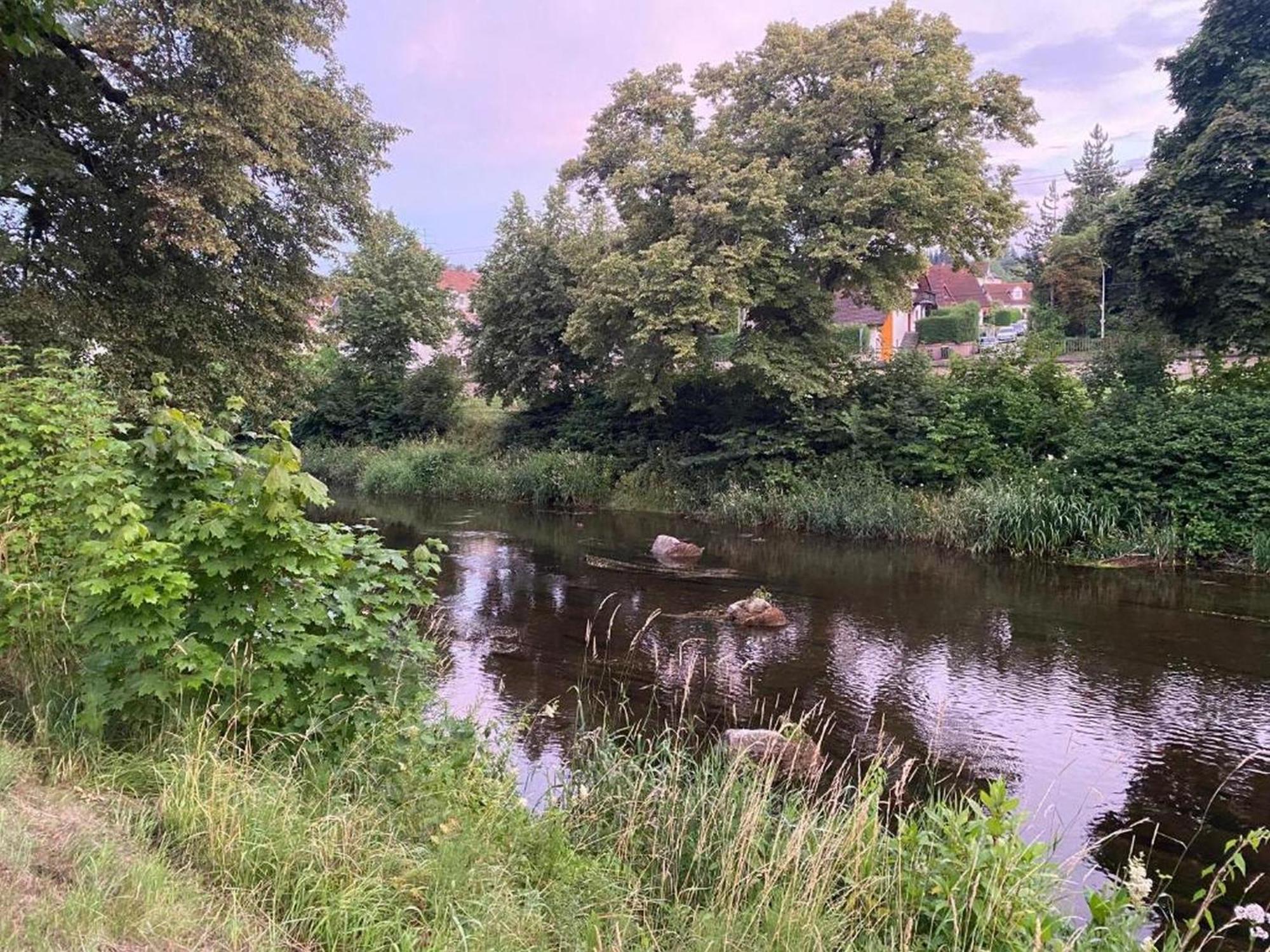 Ferienwohnung An Der Brigach Donaueschingen Zewnętrze zdjęcie