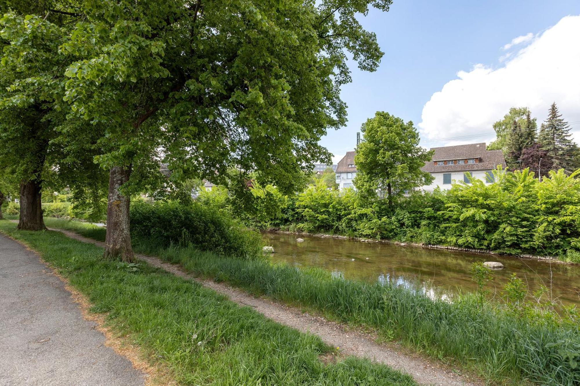Ferienwohnung An Der Brigach Donaueschingen Zewnętrze zdjęcie