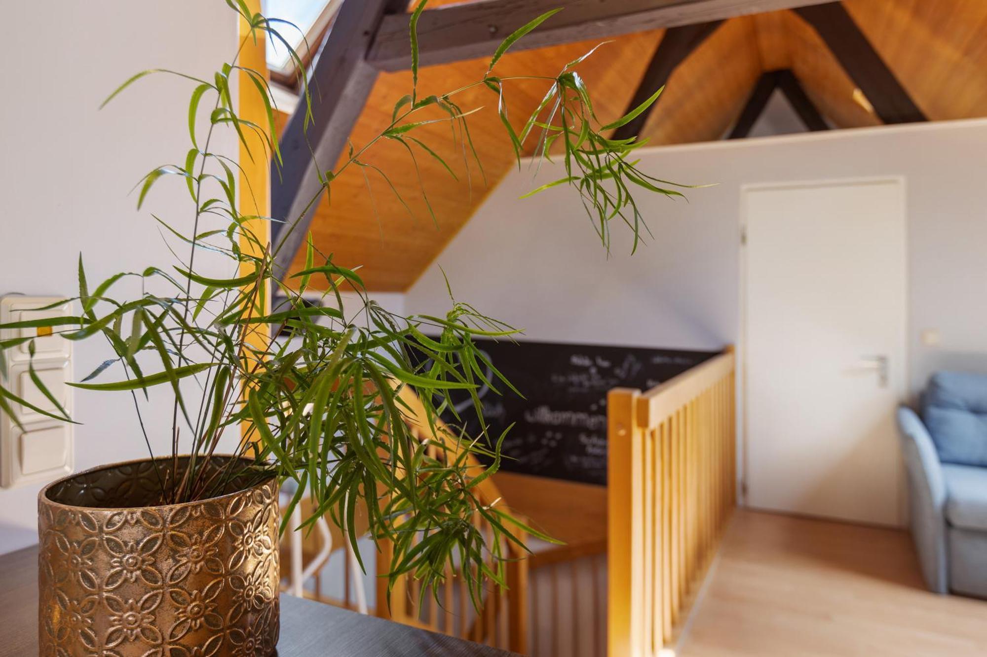 Ferienwohnung An Der Brigach Donaueschingen Zewnętrze zdjęcie